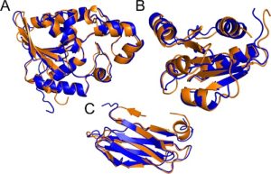 computer-generated image of ribbon-like protein shapes