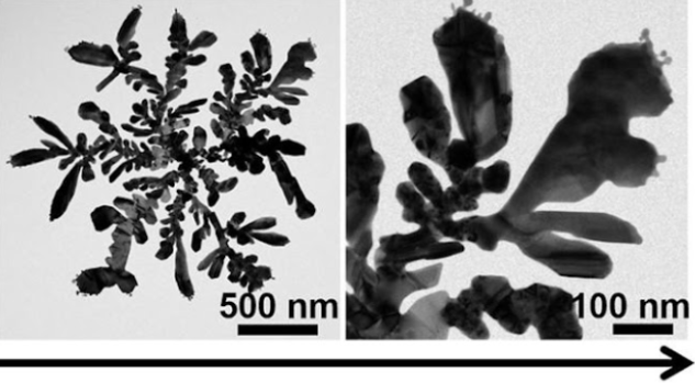 Izquierda: nanocristal gris oscuro con forma de copo de nieve (barra de escala 500 nm). Derecha: vista ampliada de parte de una rama, que muestra pequeñas extensiones que se ramifican en los extremos (barra de escala de 100 nm)